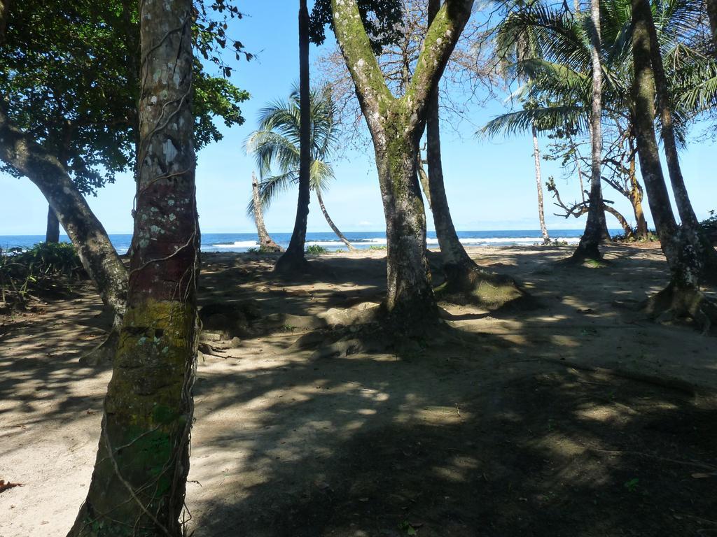 Yucca Beachfront Hotel Puerto Viejo de Talamanca Exterior foto